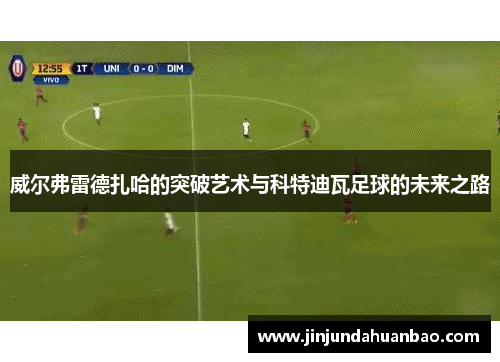 威尔弗雷德扎哈的突破艺术与科特迪瓦足球的未来之路