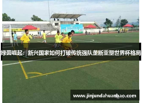 绿茵崛起：新兴国家如何打破传统强队垄断重塑世界杯格局